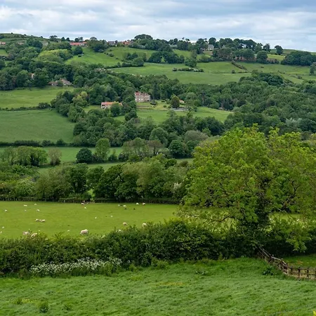 Primrose Retreat *